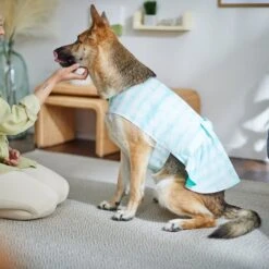 Frisco Green Tie Dye Dog & Cat Dress -Cat Toy Shop 312104 PT8. AC SS1800 V1644424641