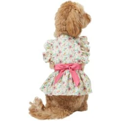 Frisco Dainty Pink Floral Dog & Cat Dress -Cat Toy Shop 312136 PT2. AC SS1800 V1703872208