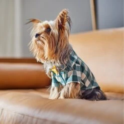 Frisco Boho Plaid Dog & Cat Shirt -Cat Toy Shop 312184 PT8. AC SS1800 V1644524330