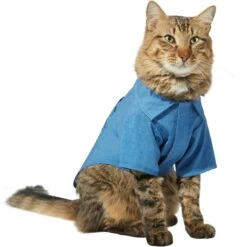 Frisco Chambray Pineapple Dog & Cat Shirt -Cat Toy Shop 312192 PT2. AC SS1800 V1644528879