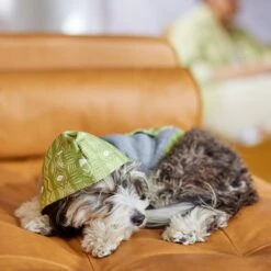 Frisco Green Southwest Dog & Cat Hoodie -Cat Toy Shop 312248 PT8. AC SS1800 V1644883113