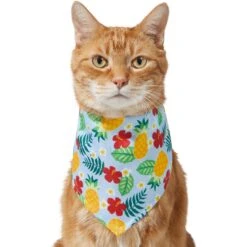 Frisco Hawaiian Pineapple Dog & Cat Bandana -Cat Toy Shop 312300 PT2. AC SS1800 V1644878643
