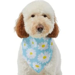 Frisco Daisy Dog & Cat Bandana -Cat Toy Shop 312303 PT3. AC SS1800 V1673302704
