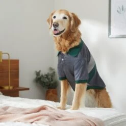 Frisco Green Striped Polo Dog & Cat Shirt -Cat Toy Shop 315091 PT8. AC SS1800 V1646434389