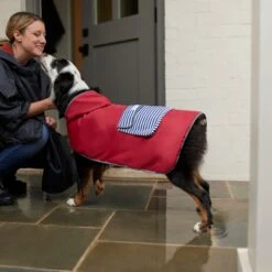 Frisco Lightweight Red Reversible Packable Dog Raincoat -Cat Toy Shop 315109 PT8. AC SS1800 V1646437779