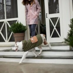 Frisco Lightweight Olive Reversible Packable Dog Raincoat -Cat Toy Shop 315116 PT8. AC SS1800 V1646435907