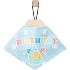 Frisco Birthday Pup Dog & Cat Bandana -Cat Toy Shop 315130 PT4. AC SS1800 V1646441905
