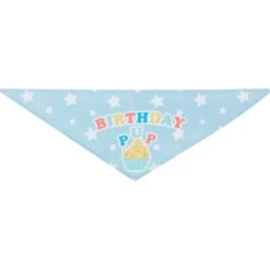 Frisco Birthday Pup Dog & Cat Bandana -Cat Toy Shop 315130 PT5. AC SS1800 V1646434611