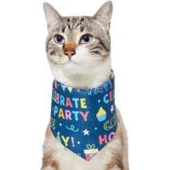 Frisco Celebration Dog & Cat Bandana -Cat Toy Shop 315133 PT2. AC SS1800 V1646439780