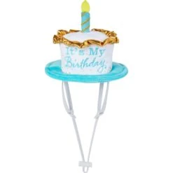 Frisco It's My Birthday Dog & Cat Hat