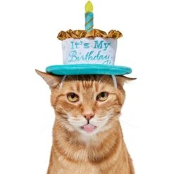 Frisco It's My Birthday Dog & Cat Hat -Cat Toy Shop 315142 PT3. AC SS1800 V1646437287