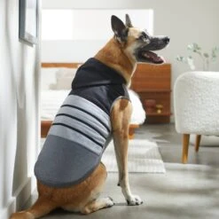 Frisco Gray Striped Dog & Cat Hoodie -Cat Toy Shop 317305 PT8. AC SS1800 V1646437959