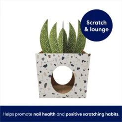 Frisco Potted Succulent Cardboard Cat House -Cat Toy Shop 317723 PT2. AC SS1800 V1689342085