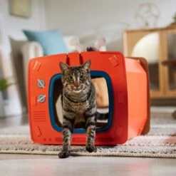 Frisco TV Set Cardboard Cat House -Cat Toy Shop 317731 PT4. AC SS1800 V1688677247