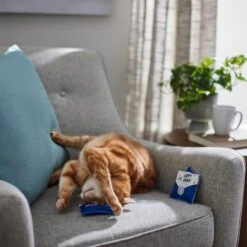 Frisco Father's Day Card Felt Cat Toy With Catnip, 2 Count -Cat Toy Shop 327029 PT3. AC SS1800 V1648667305