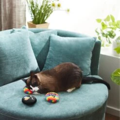 Frisco Pride Buttons Plush Cat Toy With Catnip, 3 Count -Cat Toy Shop 331688 PT3. AC SS1800 V1647355746