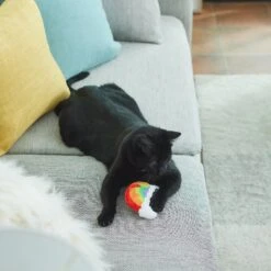 Frisco Pride Rainbow Plush Cat Toy With Silvervine -Cat Toy Shop 331690 PT3. AC SS1800 V1647355685