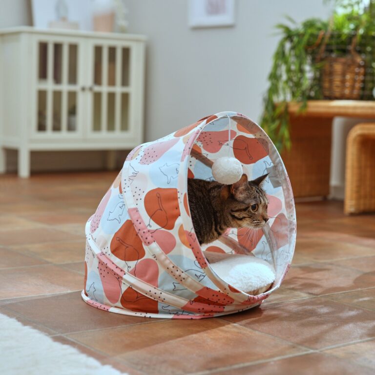 Cat Toy Shop 20 Cat Toy Shop -Cat Toy Shop 333866 MAIN. AC SS1800 V1658716901 768x768 1