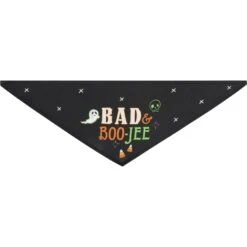 Frisco Bad & Boo-Jee Dog & Cat Costume Bandana -Cat Toy Shop 334807 PT5. AC SS1800 V1658368716