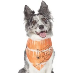 Frisco Orange Spiderweb Dog & Cat Costume Bandana