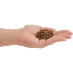 ACANA First Feast High-Protein Kitten Dry Cat Food, 4-lb Bag & Frisco Multi-Cat Unscented Clumping Clay Cat Litter -Cat Toy Shop 338643 PT3. AC SS1800 V1635909934