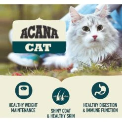 ACANA First Feast High-Protein Kitten Dry Cat Food, 4-lb Bag & Frisco Multi-Cat Unscented Clumping Clay Cat Litter -Cat Toy Shop 338643 PT4. AC SS1800 V1635899904