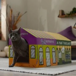 Frisco Halloween A-Paw-Thecary & Chop House Cardboard Cat House With Catnip -Cat Toy Shop 344002 PT3. AC SS1800 V1657657029
