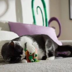 Frisco Haunted Burger Plush Cat Toy With Catnip -Cat Toy Shop 344056 PT3. AC SS1800 V1657657030