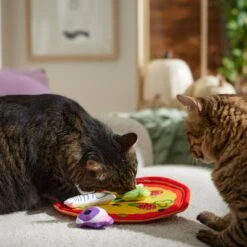 Frisco Halloween Spooky Pizza Interactive Plush Cat Toy With Catnip -Cat Toy Shop 344066 PT3. AC SS1800 V1657657031