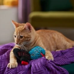 Frisco Halloween Elixirs Plush Cat Toy With Catnip -Cat Toy Shop 344070 PT3. AC SS1800 V1657657033