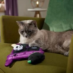 Frisco Halloween Magical Wardrobe Interactive Plush Cat Toy With Catnip -Cat Toy Shop 344078 PT3. AC SS1800 V1657657033