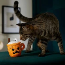 Frisco Halloween Spooky Pumpkin Spice Latte Plush Cat Toy With Catnip -Cat Toy Shop 344080 PT3. AC SS1800 V1657657033