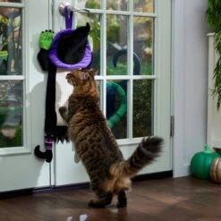 Frisco Halloween Witch Doorknob Hanger Cat Toy With Catnip -Cat Toy Shop 344092 PT3. AC SS1800 V1657657035