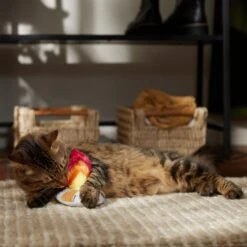 Frisco Fall Campfire Plush Cat Toy With Catnip -Cat Toy Shop 344178 PT3. AC SS1800 V1659023182