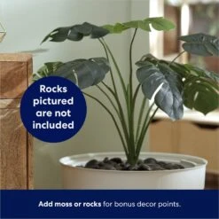 Frisco Hidden Planter Cat Litter Box, 16-in -Cat Toy Shop 345566 PT4. AC SS1800 V1668737273