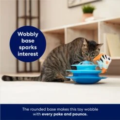 Frisco Fish In Ocean Wobble & Spin Cat Tracks Cat Toy With Catnip -Cat Toy Shop 345926 PT3. AC SS1800 V1664288803