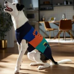 Frisco Anaconda Cheetah Colorblock Dog & Cat Sweater -Cat Toy Shop 353596 PT7. AC SS1800 V1660749560