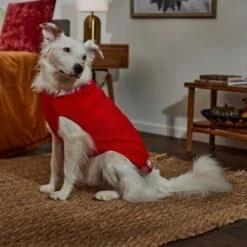 Frisco Plaid Cable Knit Dog & Cat Sweater -Cat Toy Shop 353611 PT7. AC SS1800 V1660749926