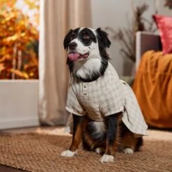 Frisco Tweed Weave Ruffle Skirt Dog & Cat Dress -Cat Toy Shop 353649 PT6. AC SS1800 V1660750168