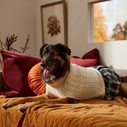 Frisco Plaid Dog & Cat Sweater Dress -Cat Toy Shop 353673 PT7. AC SS1800 V1660750173