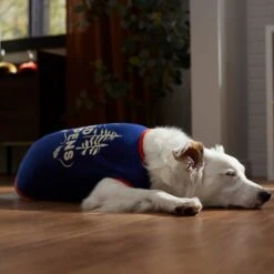 Frisco Shed Happens Dog & Cat T-Shirt -Cat Toy Shop 353698 PT7. AC SS1800 V1660749629