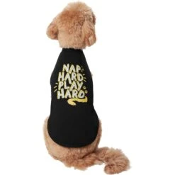 Frisco Nap Hard Play Hard Dog & Cat T-Shirt -Cat Toy Shop 353713 PT2. AC SS1800 V1659010872