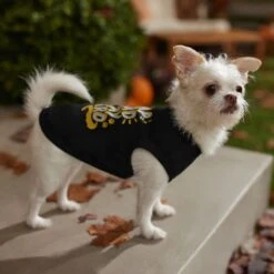 Frisco Nap Hard Play Hard Dog & Cat T-Shirt -Cat Toy Shop 353713 PT7. AC SS1800 V1660750172