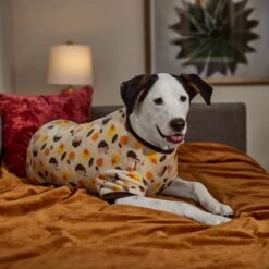 Frisco Hedgehog Dog & Cat Fleece Pajamas -Cat Toy Shop 353730 PT6. AC SS1800 V1660749991