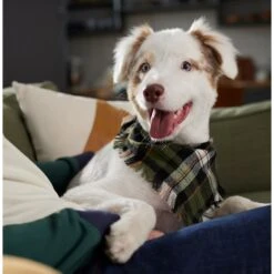 Frisco Plaid Fringe Dog & Cat Bandana -Cat Toy Shop 353769 PT6. AC SS1800 V1660749811