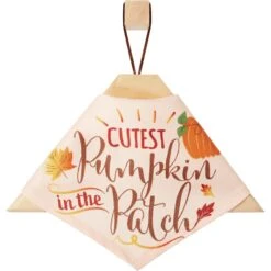 Frisco Cutest Pumpkin In The Patch Dog & Cat Bandana -Cat Toy Shop 353777 PT4. AC SS1800 V1663343389