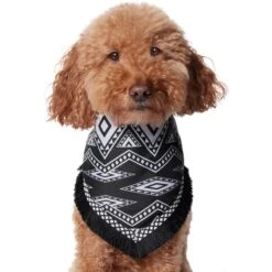 Frisco Southwest Fringe Dog & Cat Bandana -Cat Toy Shop 353783 PT2. AC SS1800 V1659007315