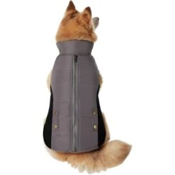 Frisco Mediumweight Faux Zipper Dog & Cat Jacket -Cat Toy Shop 353817 PT2. AC SS1800 V1659010334