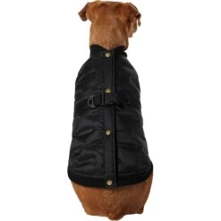 Frisco Lightweight Belted Puffer Dog & Cat Jacket -Cat Toy Shop 353825 PT2. AC SS1800 V1659010815