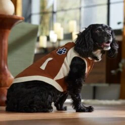 Frisco Lightweight Varsity Dog & Cat Jacket -Cat Toy Shop 353861 PT7. AC SS1800 V1660749417